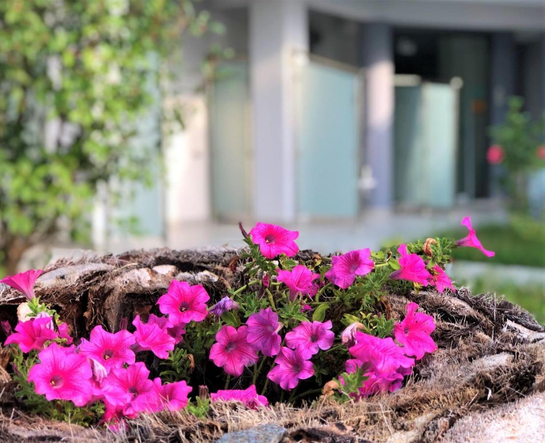 Nikiti Holidays מראה חיצוני תמונה